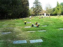 Cmentarz w San Diego - widok ogólny