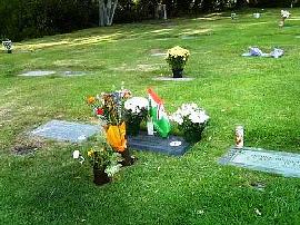 Kwiaty na grobie Kazimierza Deyny