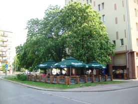 Latający Kufer - ogródek 2012 r.