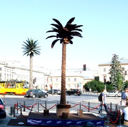 Czekoladowa palma na placu de Palmy