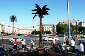 Czekoladowa palma na placu de Palmy
