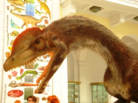 Dino - Rekonstrukcja dinzozaura w Państwowym Instytucie Geologicznym