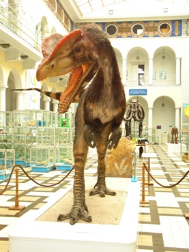 Dino - Rekonstrukcja dinzozaura w Państwowym Instytucie Geologicznym