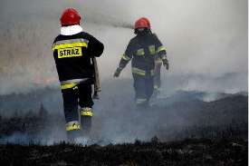 Strażacy gaszący pożar trawy