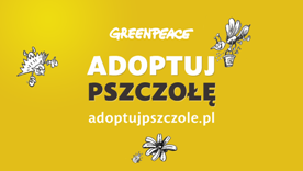 Adoptuj pszczołę - akcja Greenpeace