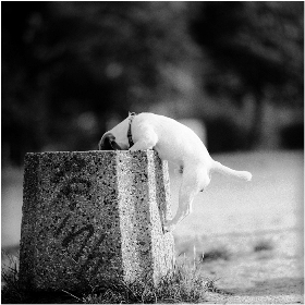 PePe w Galerii Schody. Wystawa fotograficzna Michała TeGieeR’a Sikorskiego